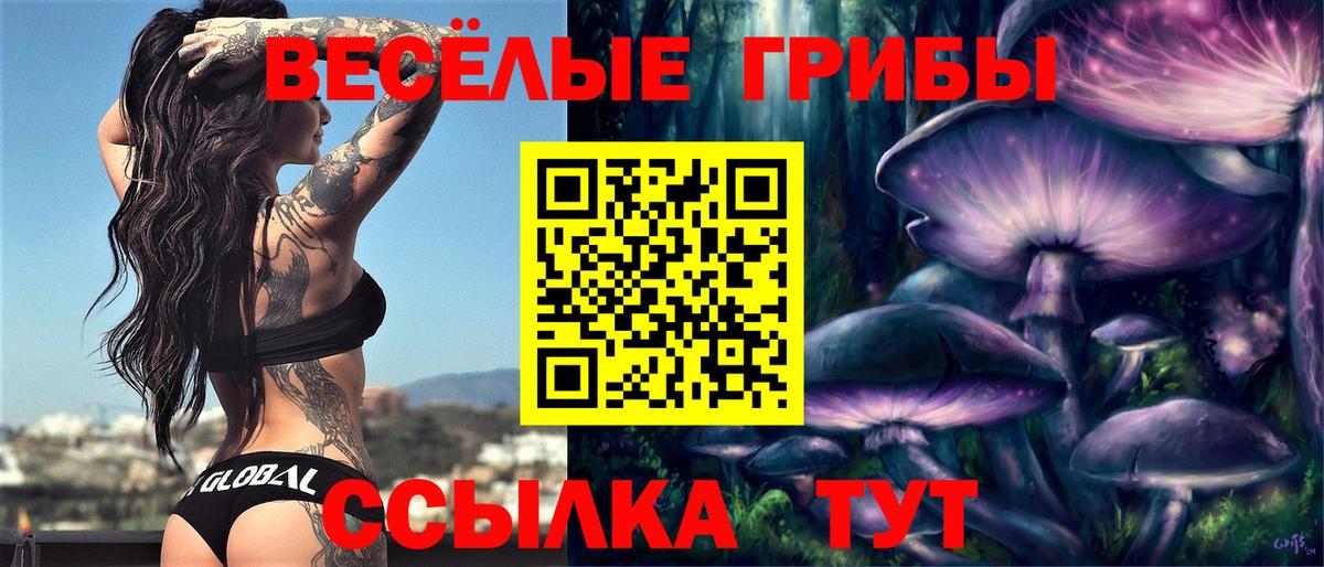 Псилоцибиновые грибы GOLDEN TEACHER Аксай